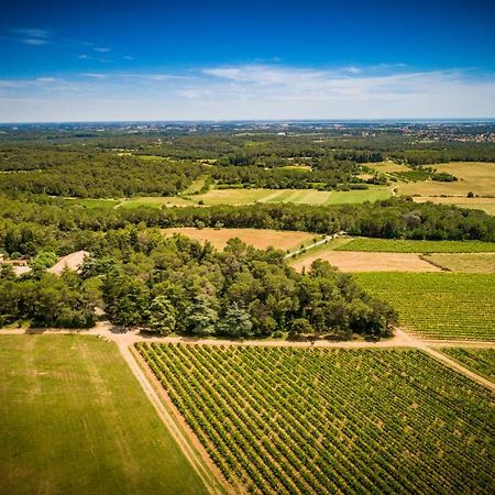 Gite Du Domaine Saint Jean De L'Arbousier カストリ エクステリア 写真