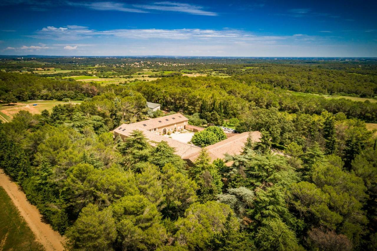 Gite Du Domaine Saint Jean De L'Arbousier カストリ エクステリア 写真