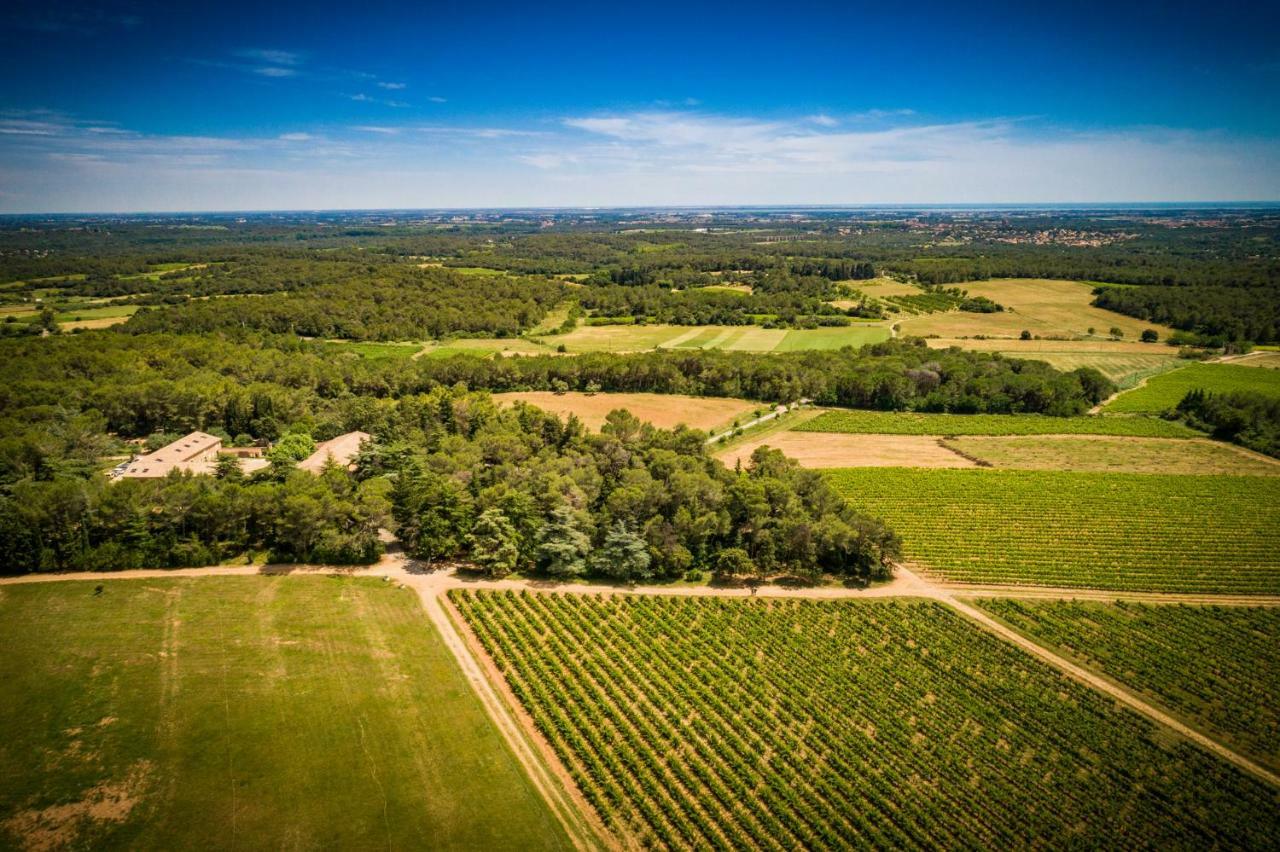 Gite Du Domaine Saint Jean De L'Arbousier カストリ エクステリア 写真